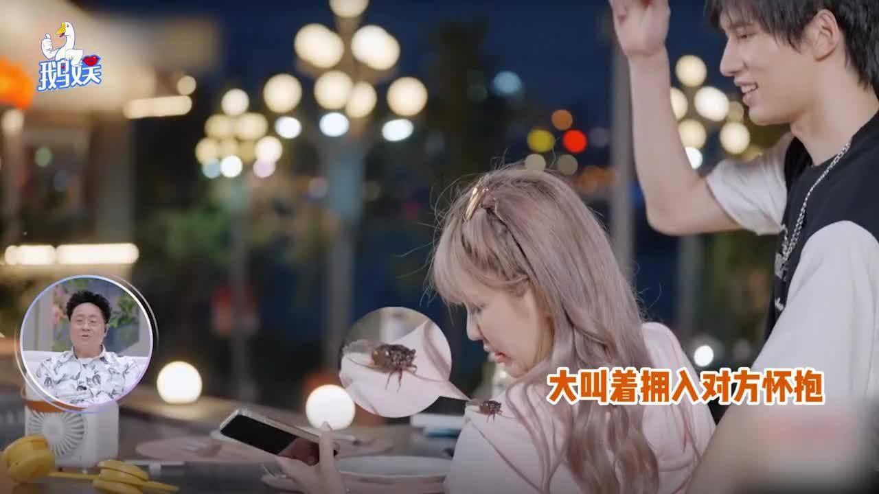 美人鱼游玩